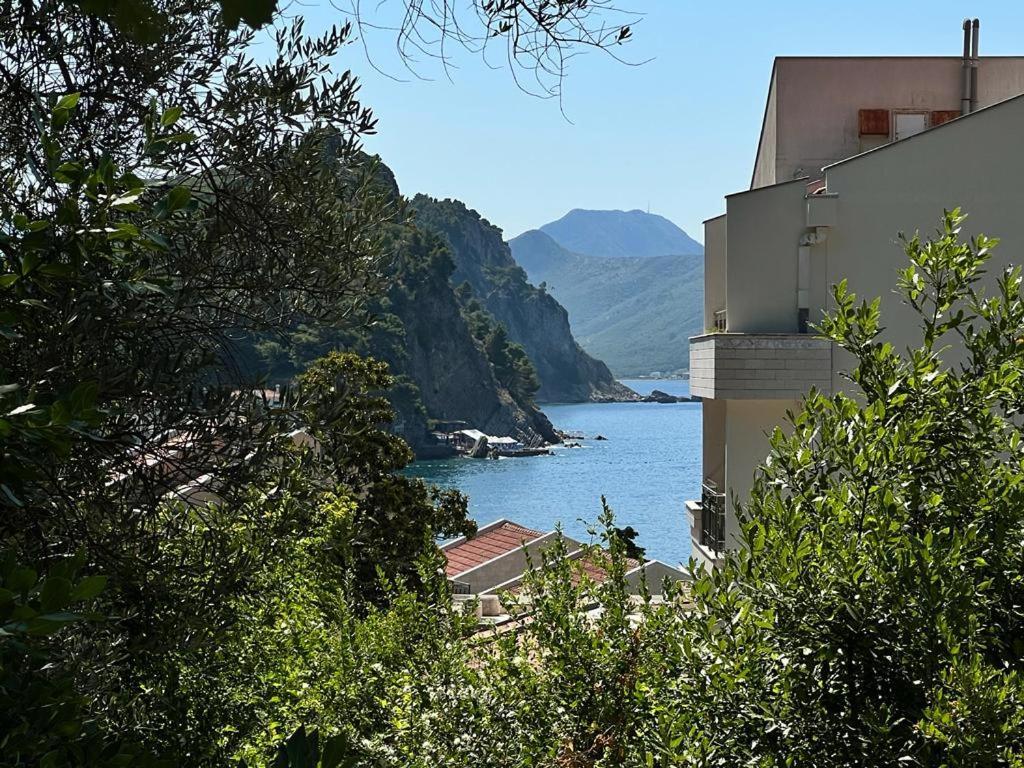 Apartamento Vista Petrovac Exterior foto